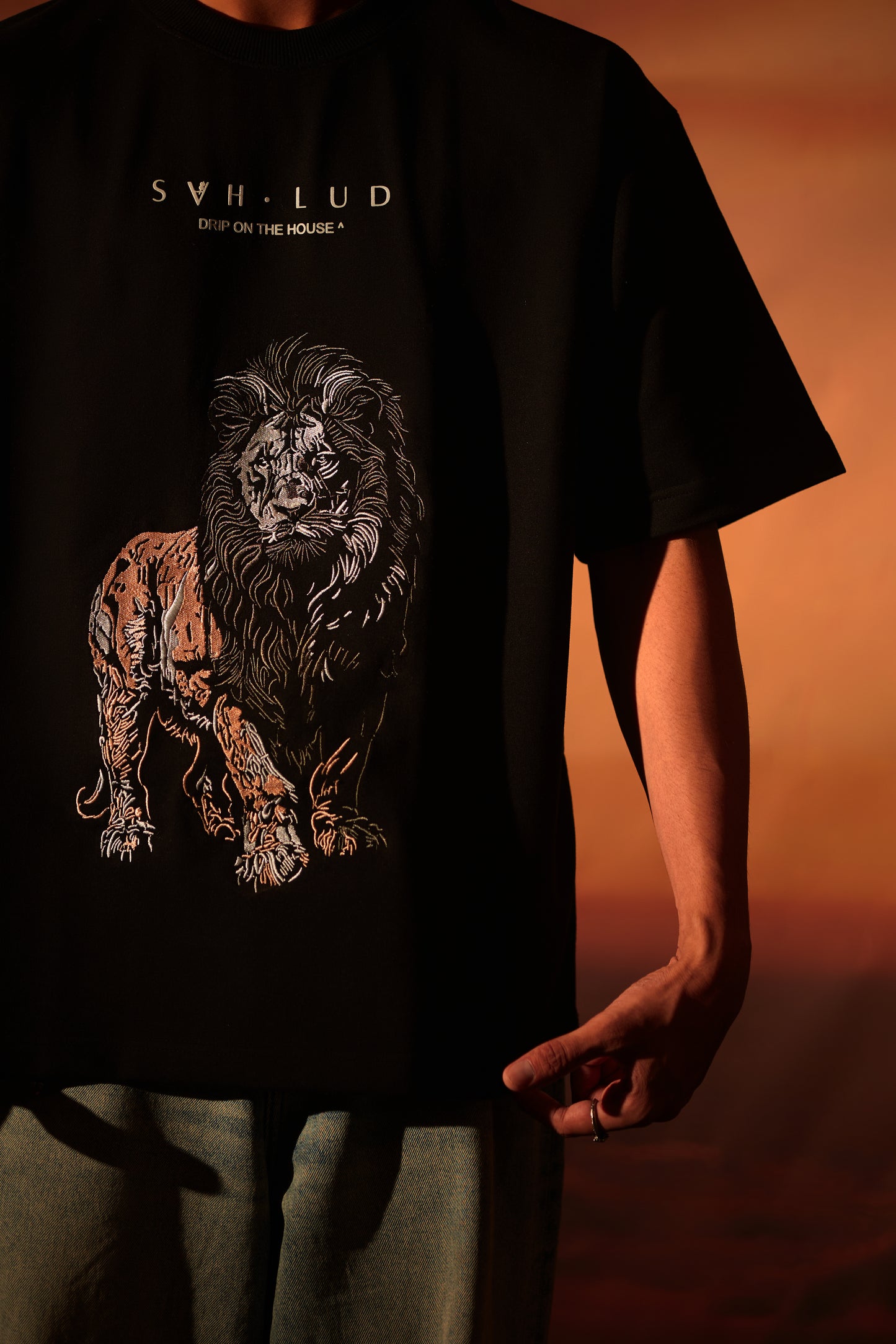 Sher Aaya Tee