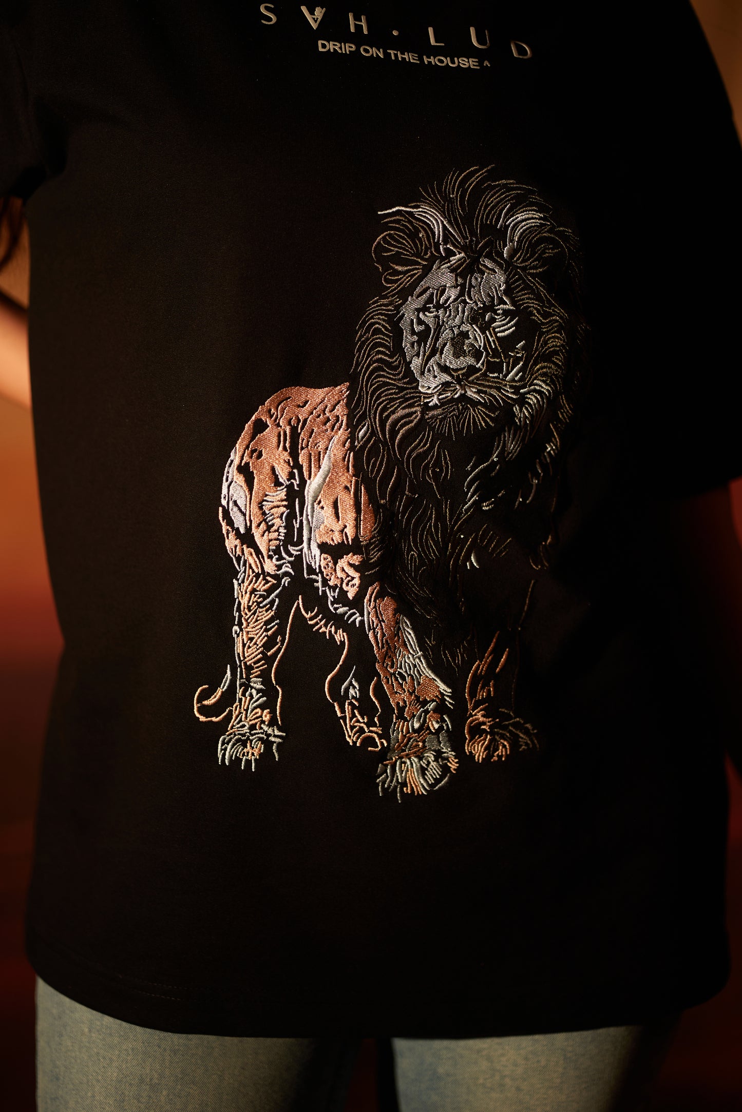 Sher Aaya Tee