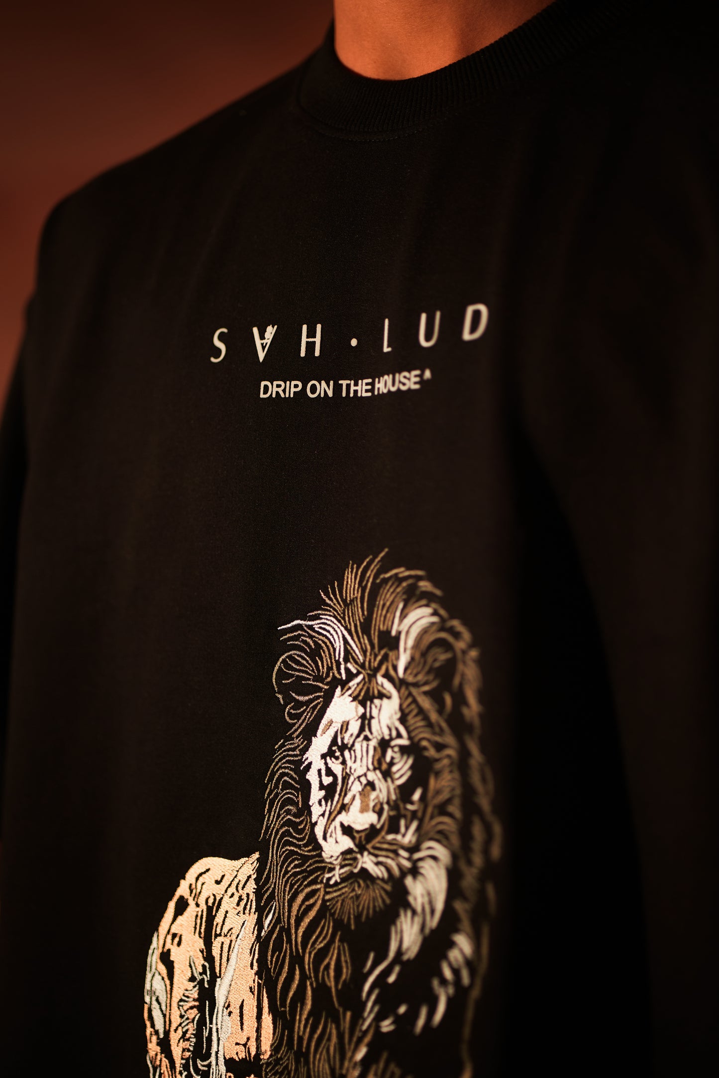 Sher Aaya Tee