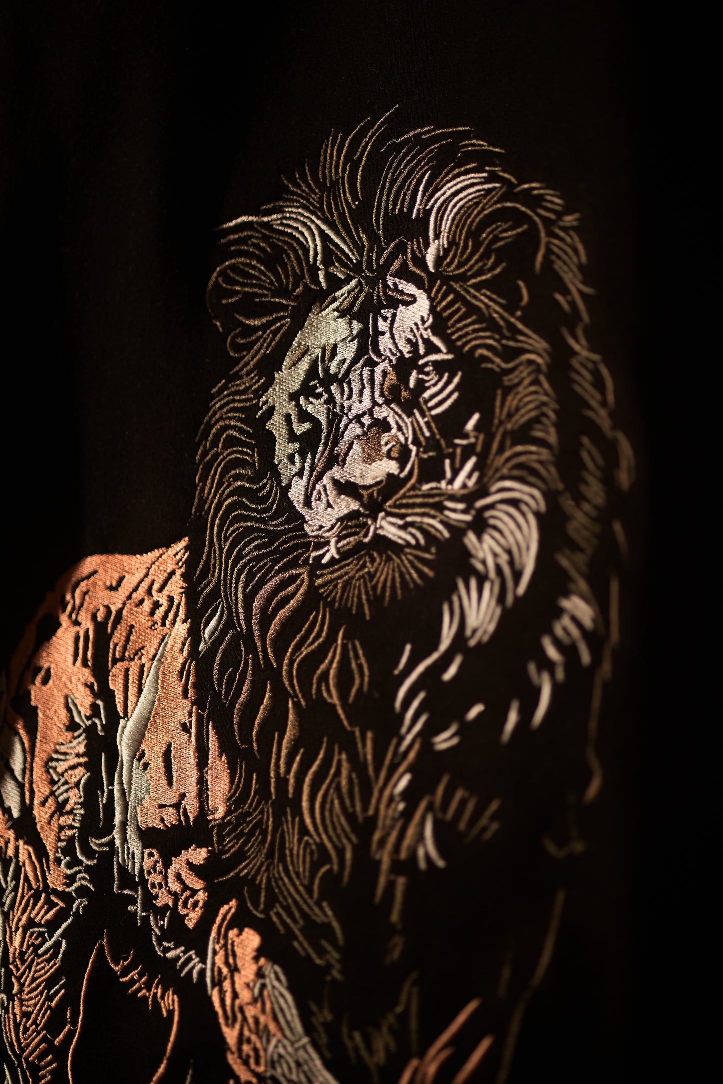 Sher Aaya Tee